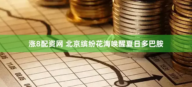 涨8配资网 北京缤纷花海唤醒夏日多巴胺