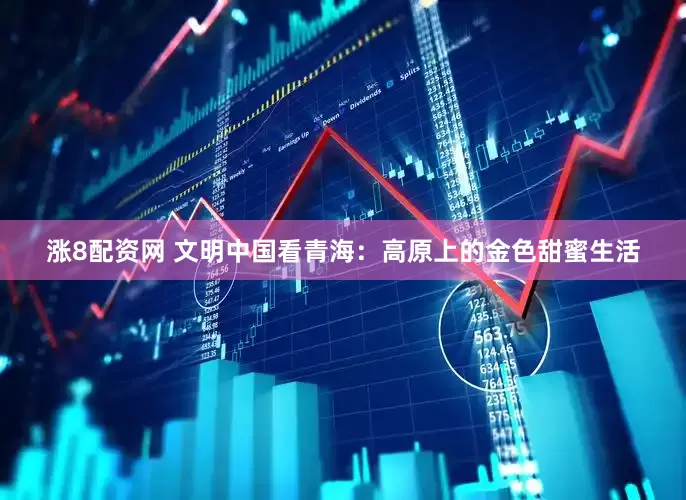 涨8配资网 文明中国看青海：高原上的金色甜蜜生活